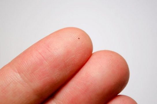 fingertip micrometeorite