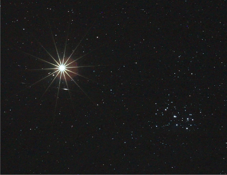 Venus, the Pleiades and a shooting star - Sky & Telescope - Sky