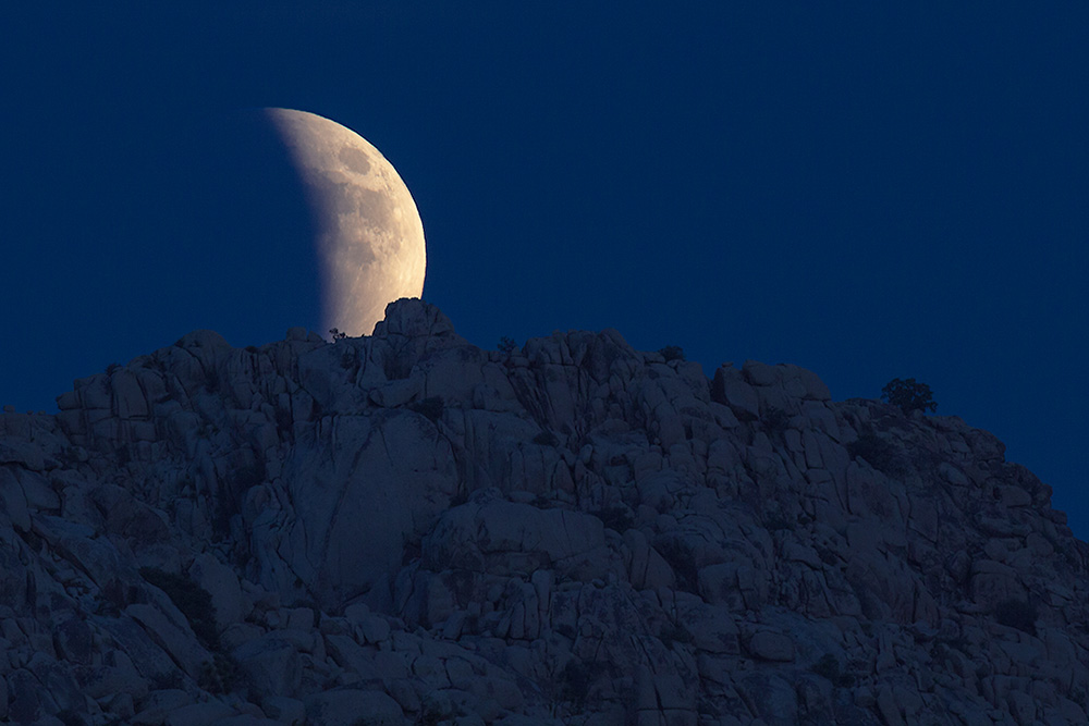 Lunar Eclipse above Joshua Tree