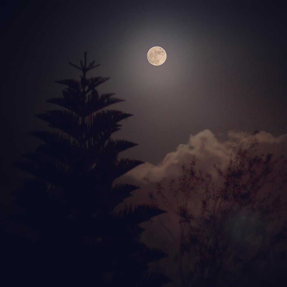 evening sky with moon