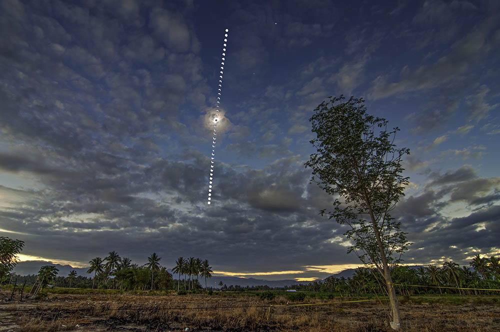 Wide-field view of solar eclipse over grassland peppered with palm trees. A single leafy tree stands in the foreground.