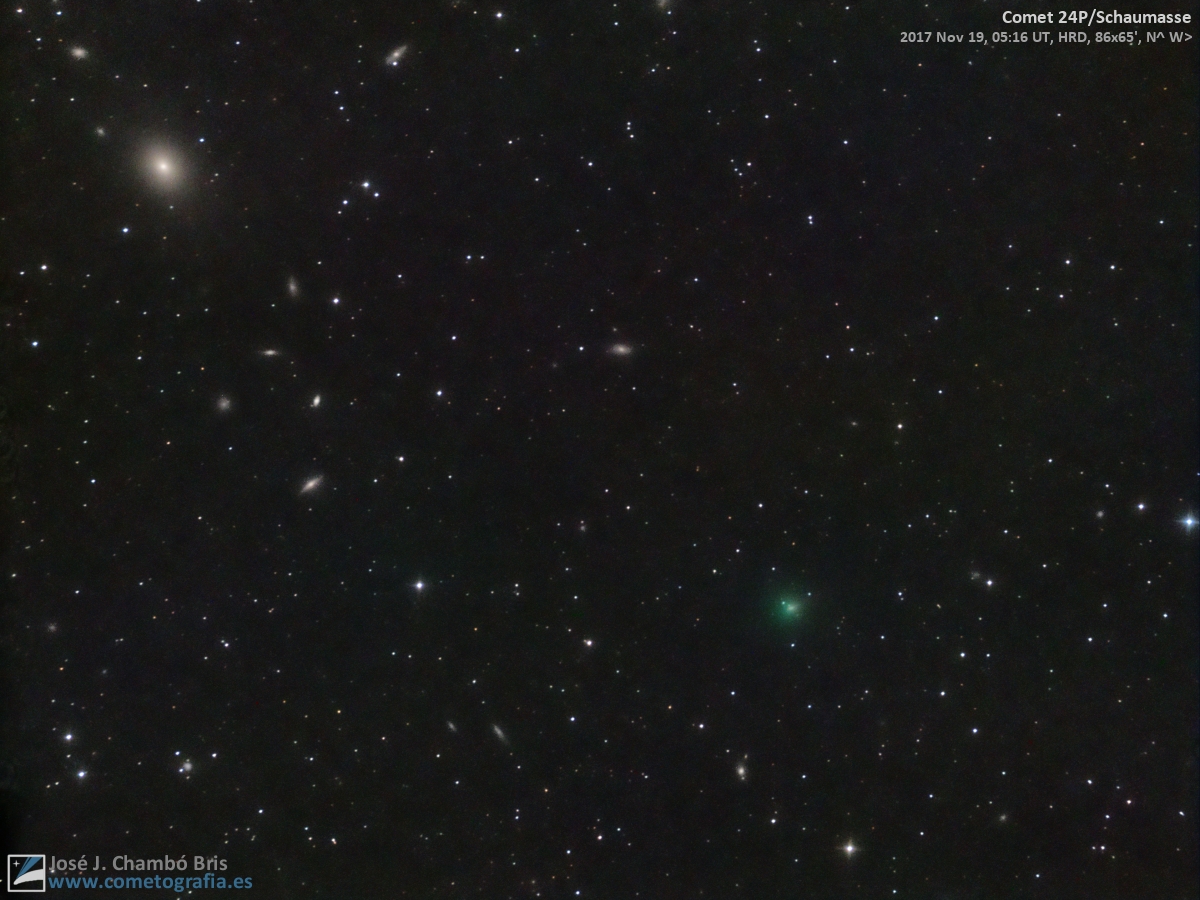 Comet 24P/Schaumasse (Nov.19,2017) - Sky & Telescope - Sky & Telescope