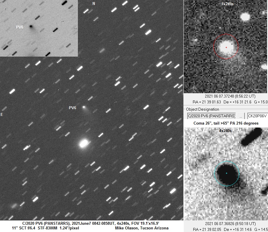 Comet C/2020 PV6 (PANSTARRS) - Sky & Telescope - Sky & Telescope