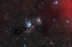 M78 Wild Field