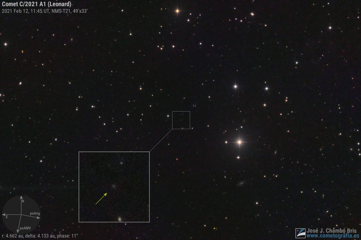 comet leonard visibility