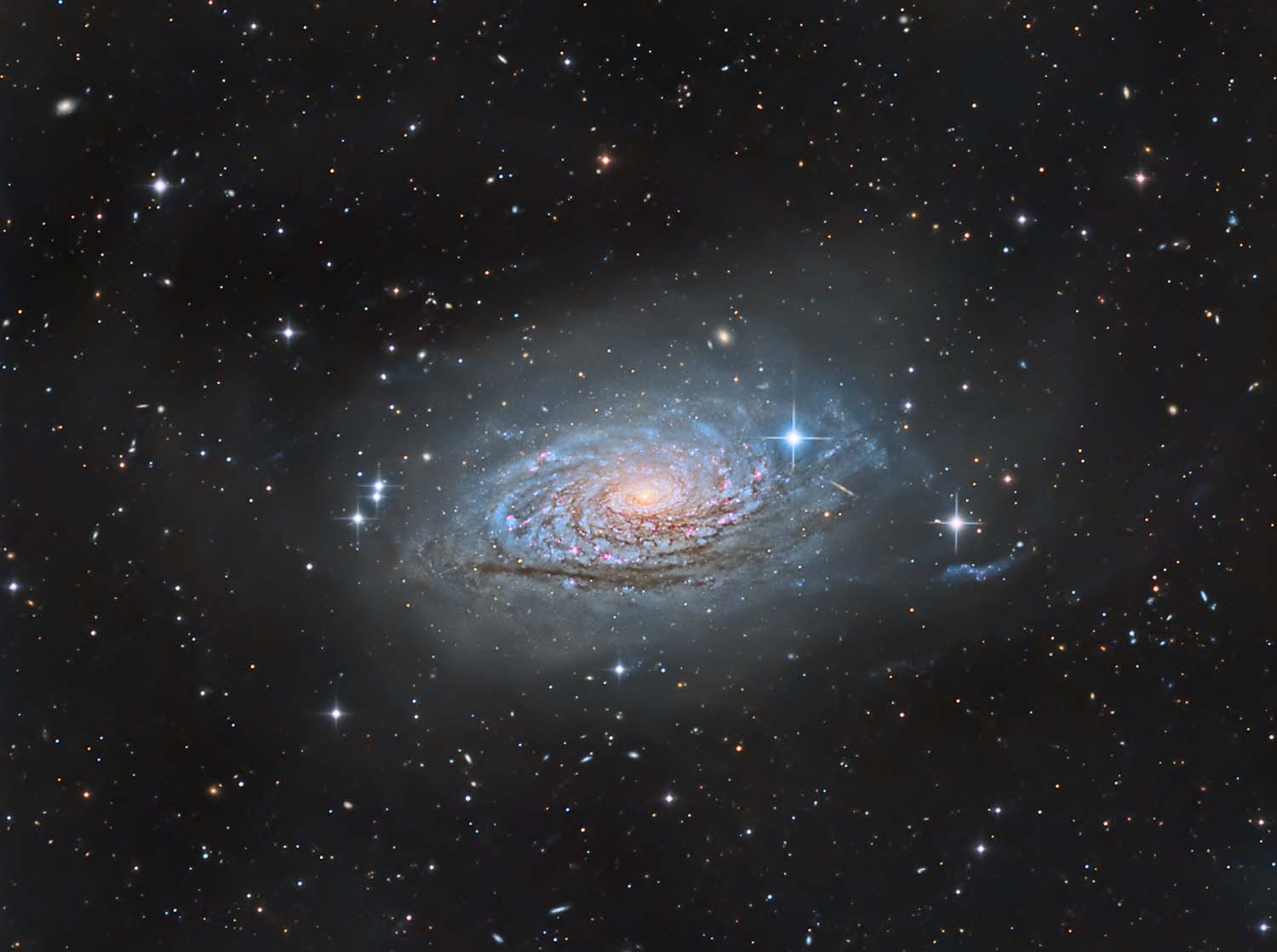 The Sunflower Galaxy (M63) - Sky & Telescope - Sky & Telescope