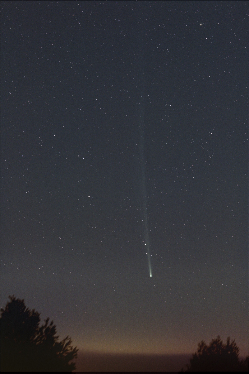 Comet Nishimura at dawn  