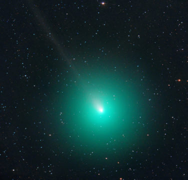 Green ornament comet