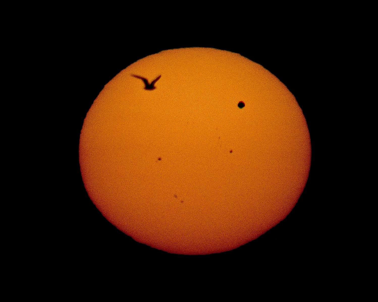 Venus Transit Ed Hanlon Sky And Telescope Sky And Telescope 