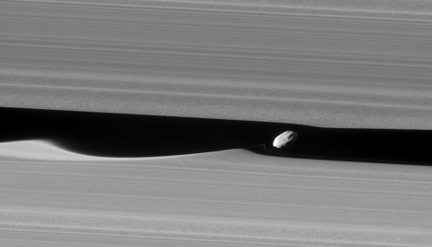 Daphnis