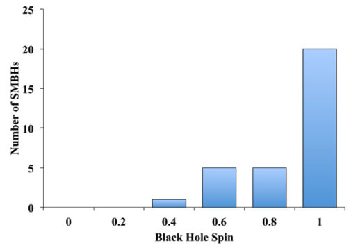 Supermassive black hole spins