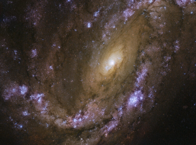 Spiral galaxy with purple arms