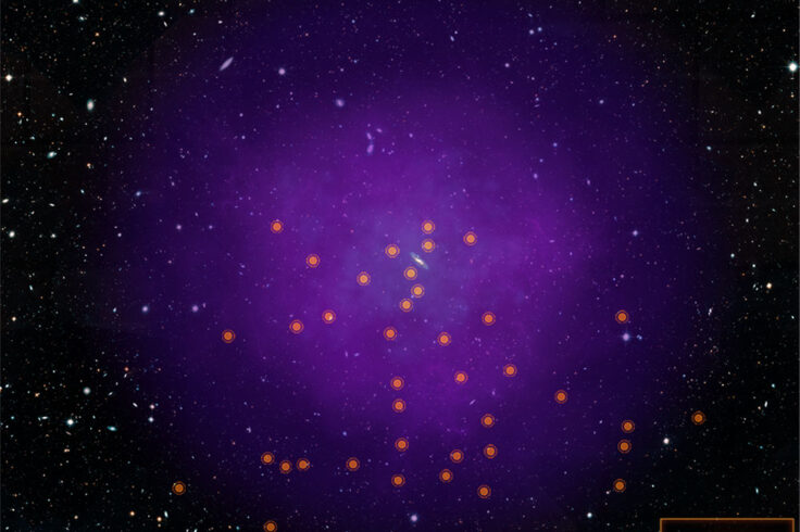 Andromeda's halo and 43 quasars