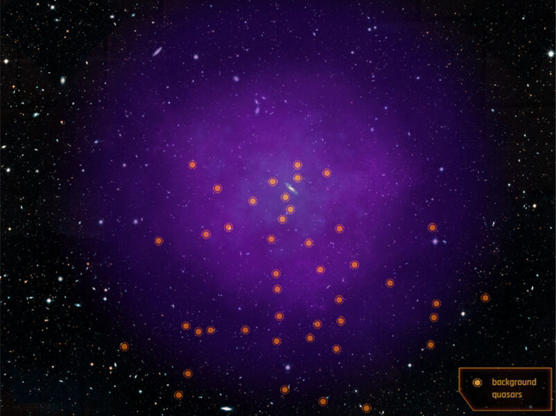 Andromeda's halo and 43 quasars