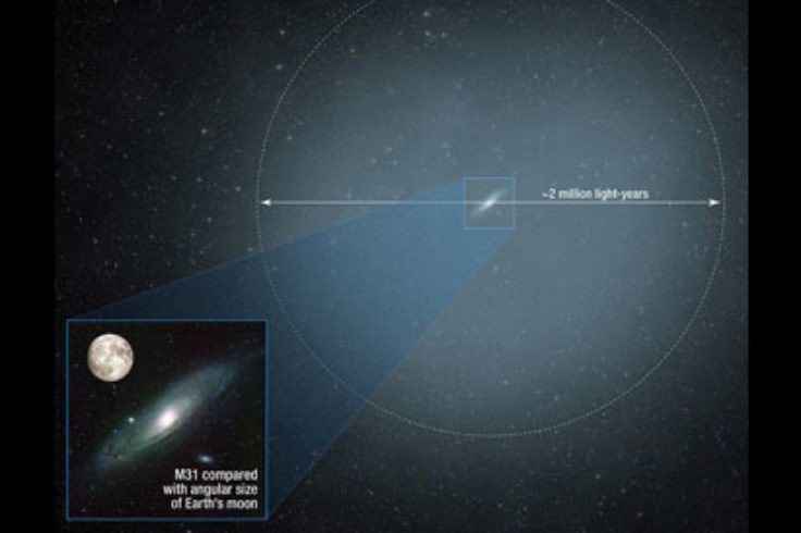 Andromeda's halo