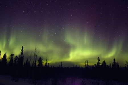 Aurora Spikes | Armando A. Busto - Sky & Telescope - Sky & Telescope