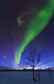 AuroraGreatWhiteNorth_180px.jpg