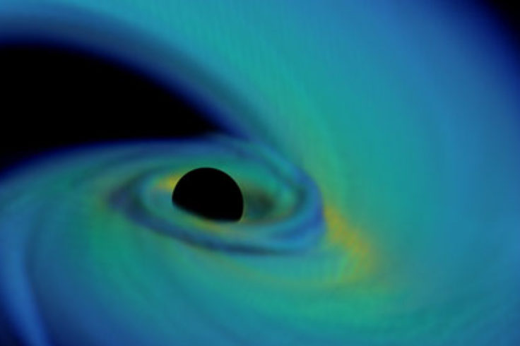 Simulation of neutron star - black hole merger