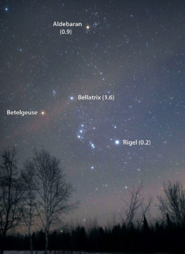 Estimate Betelgeuse's brightness yourself