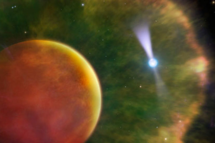 Pulsar-brown dwarf system