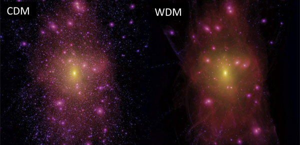 Cold dark matter vs warm dark matter