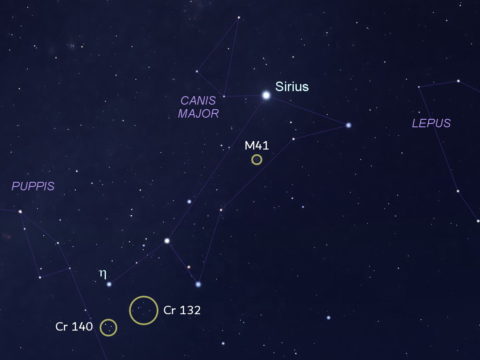 Deep dive into Canis Major