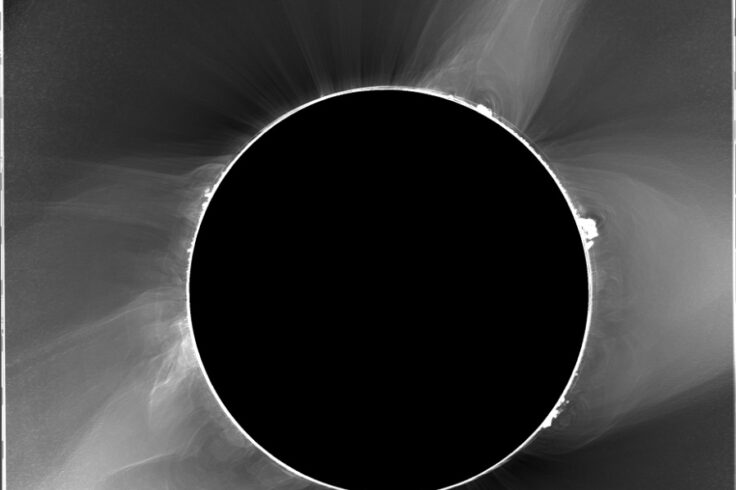Totality in black-and-white shows smokey swirls of corona outside of the Moon's disk