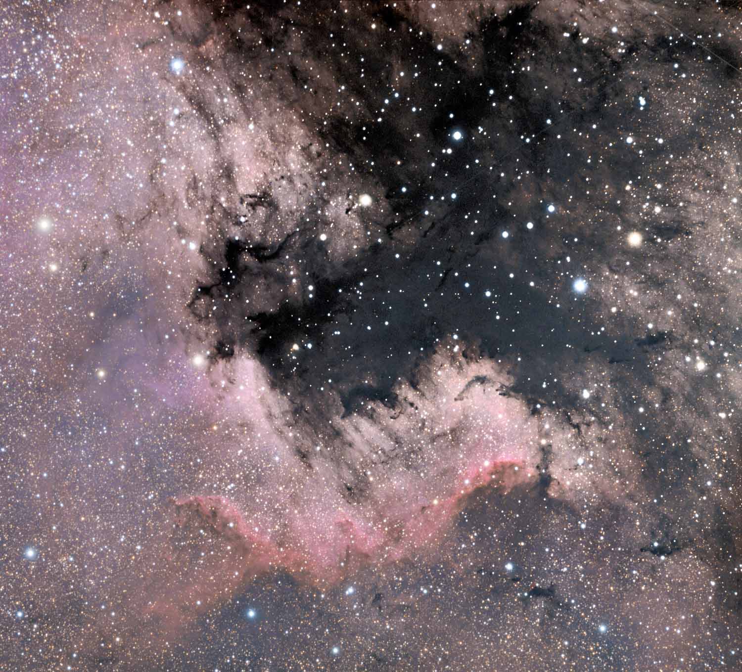 Dark Nebulae In Cygnus Sky And Telescope Sky And Telescope 