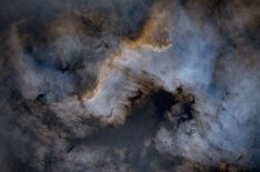 Starless Cygnus Wall