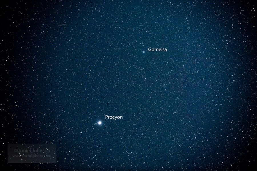 procyon star system