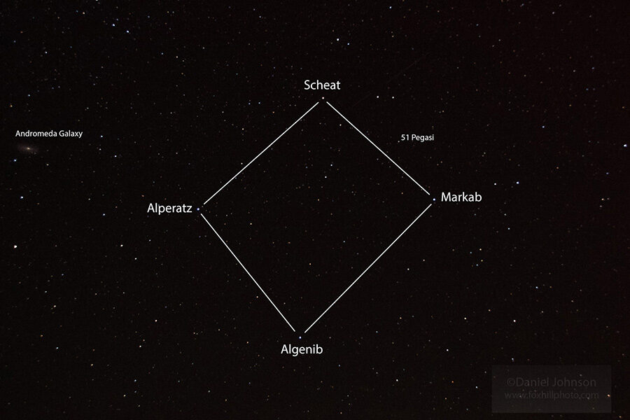 Pegasus constellation outline