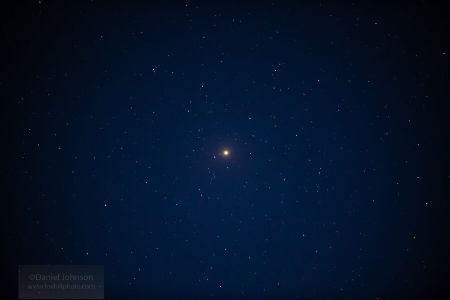 Meet Arcturus: the Bear Sky & Telescope - Sky & Telescope