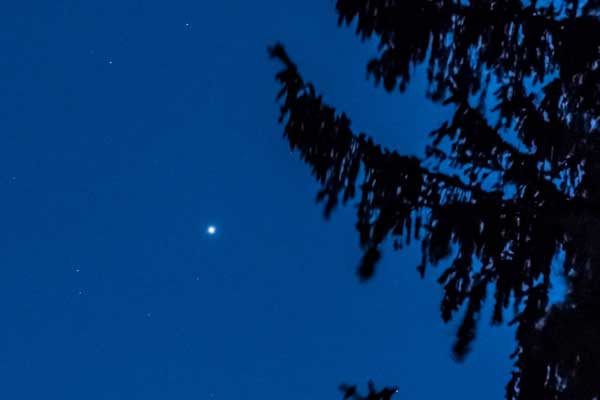 Sirius: The brightest star in the night sky comes into view