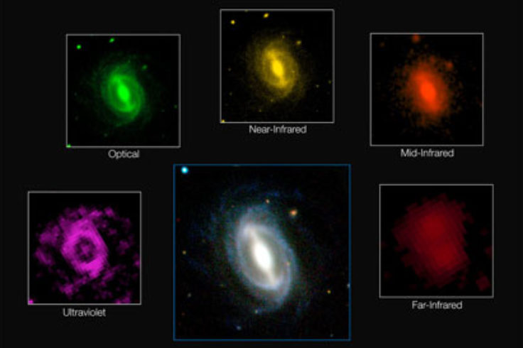 GAMA Galaxy Images