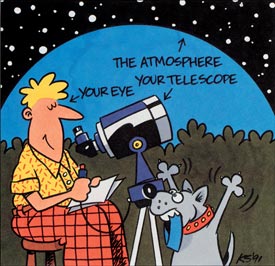 Observing Experience Cartoon