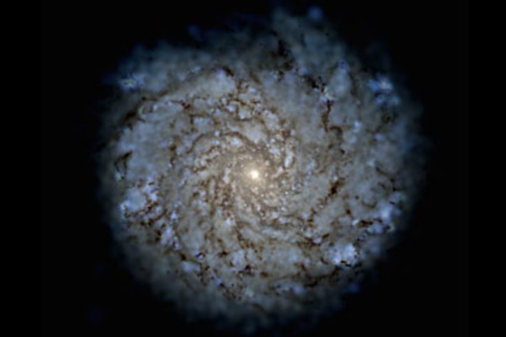 Simulated galaxy from FIRE cosmological simulation