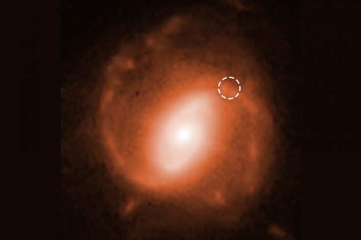 Spiral galaxies host Fast Radio Bursts