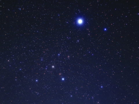 Canis Major, the Big Dog