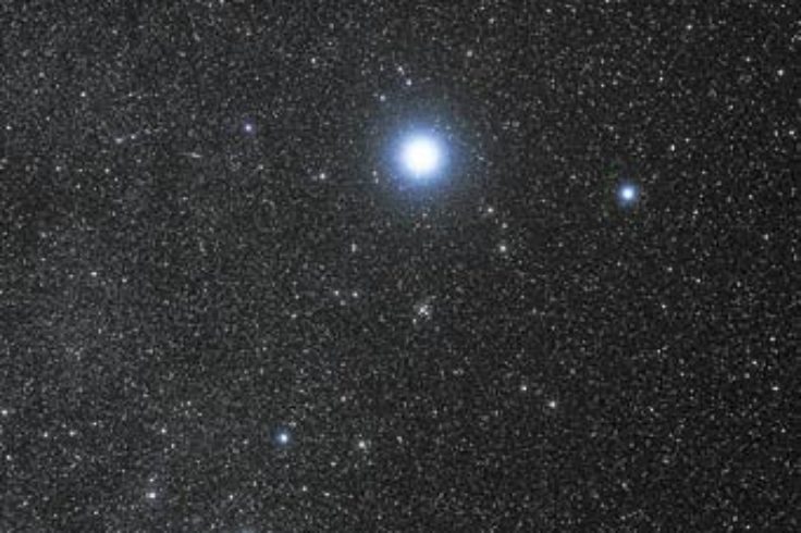 Canis Major with Sirius