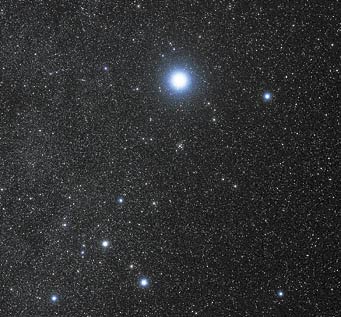 Canis Major with Sirius