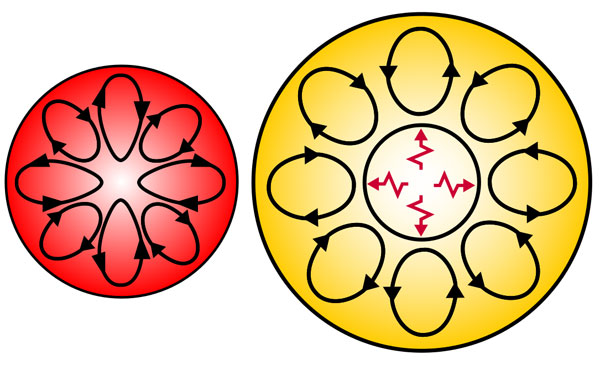 Fully convective star vs. convective star with radiative core