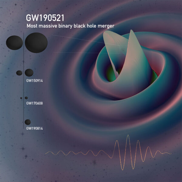 Black hole merger and its spacetime ripples