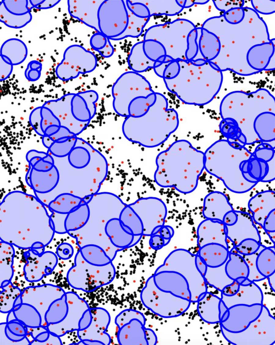 Purple bubbles fill the image, with black points crowded along their outlines and a few scattered red points inside