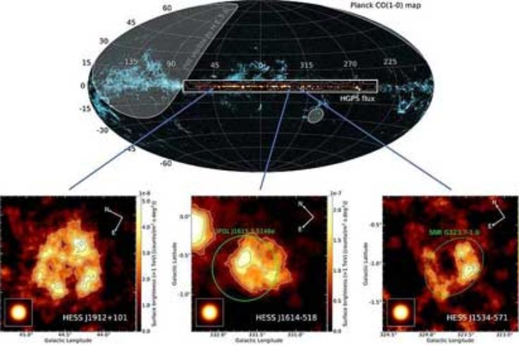 Gamma-ray emitting supernova remnants
