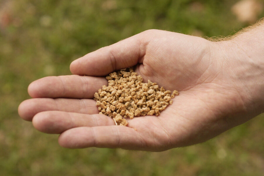 Handful of Grape Nuts