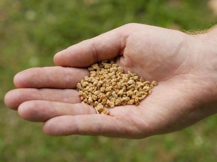 Grape Nuts are a pretty good match to typical meteoroid particles.