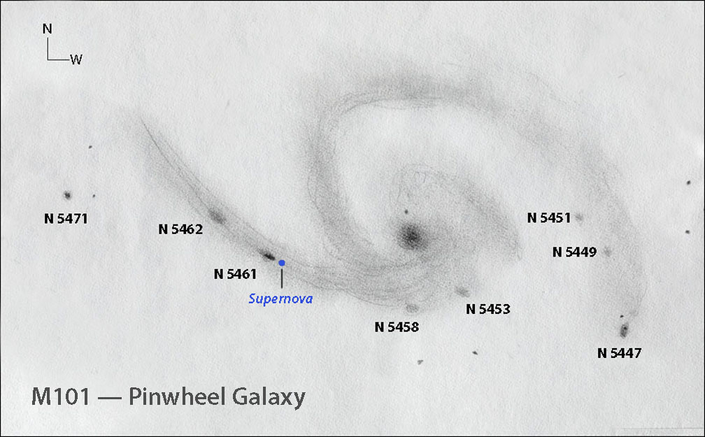 2023ixf location in outflung arm of spiral galaxy in pencil sketch