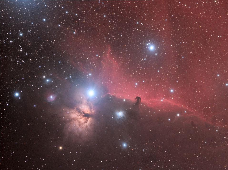 Horse Nebula HALRGB | Piotr Dzikowski - Sky & Telescope - Sky & Telescope