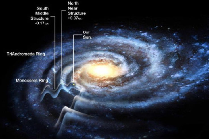 Ripples in the Milky Way's Disk