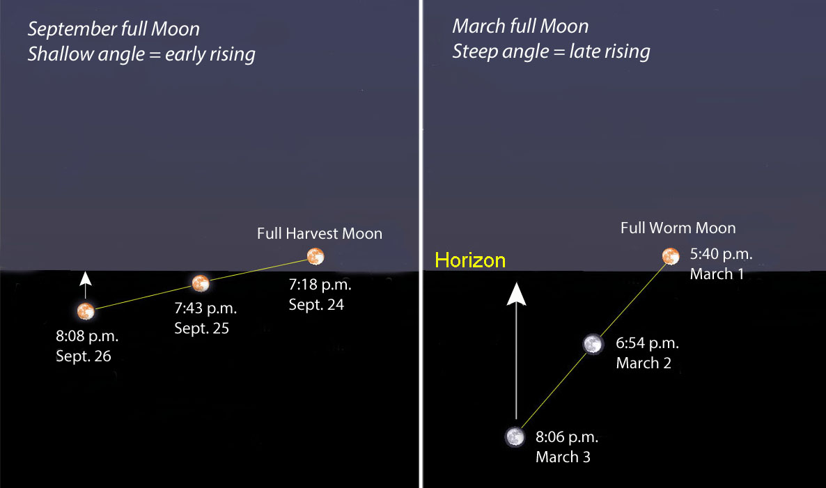 Harvest moon, Description & Facts